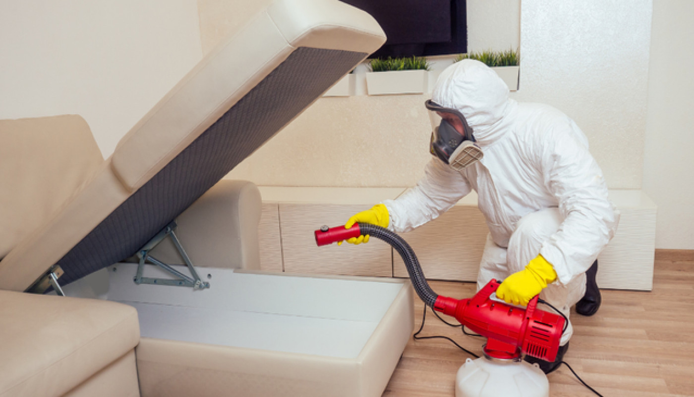 Eco Hygiène 3D : dites adieu aux rongeurs à Marseille avec ce dératiseur !